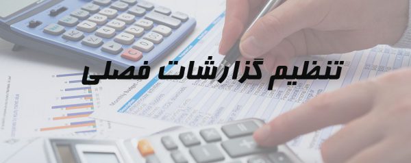 تنظیم گزارش خرید و فروش خدمات مالیاتی شرکت حسابداری